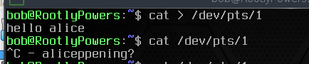 Messing with Alice's terminal