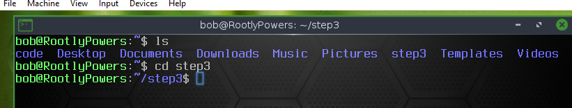 Contents of the step3 directory